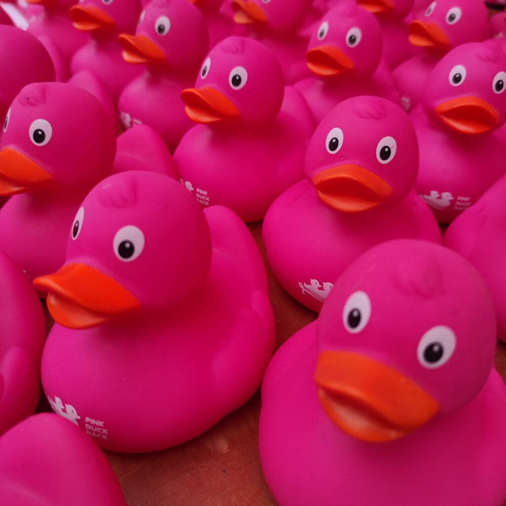 Pink Duck Race United Kingdom