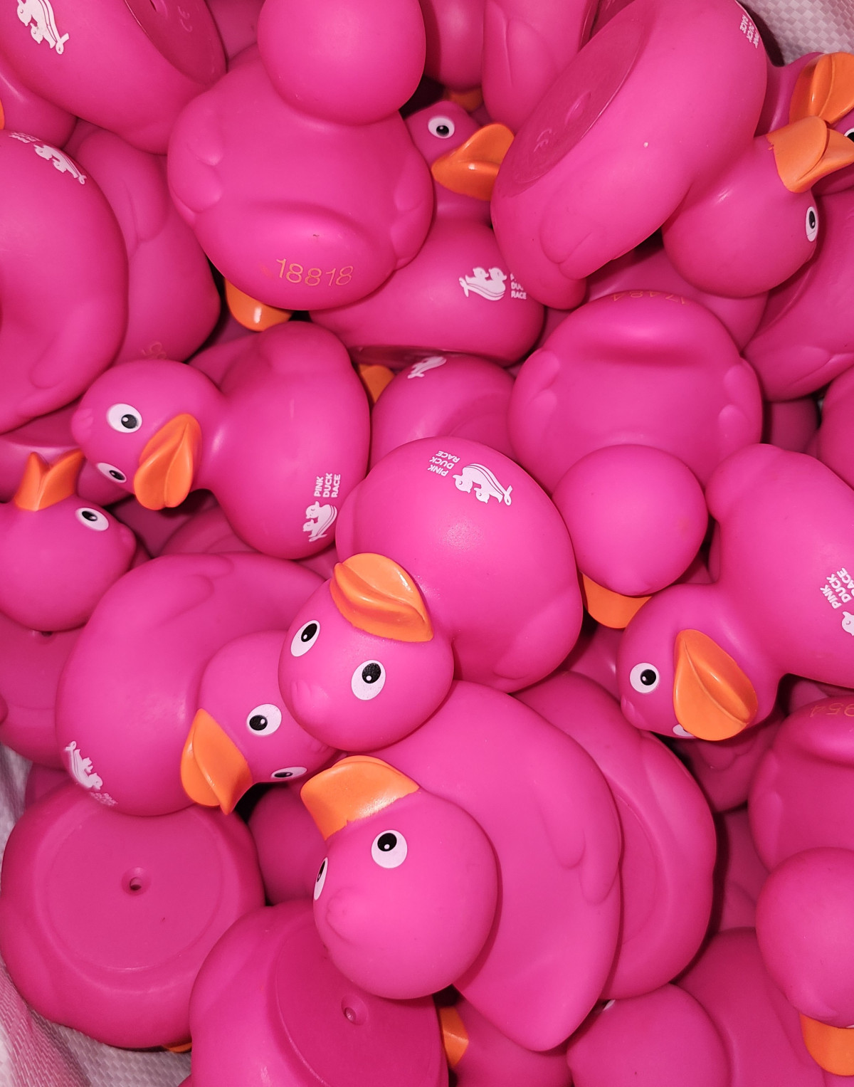 🦆💗 PINK DUCK ON TOUR! 💗🦆