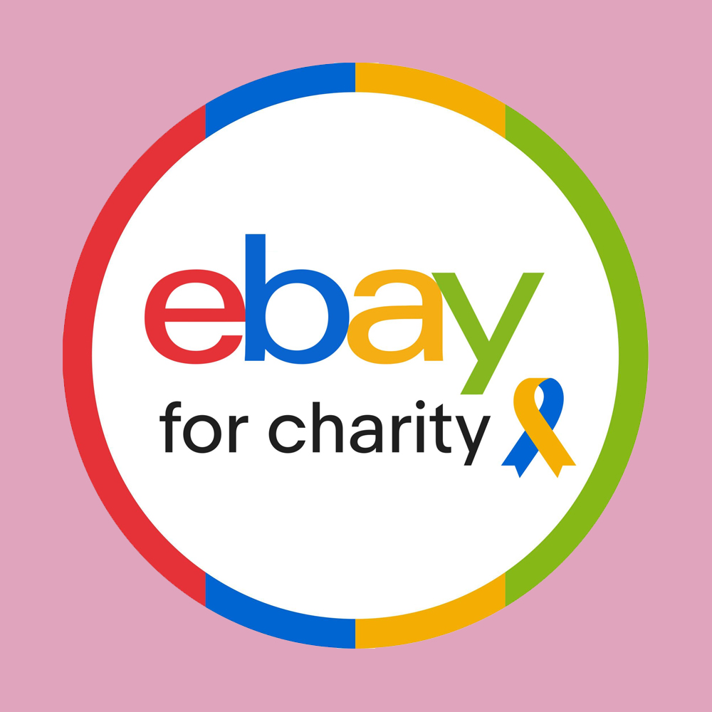 ebay for Charity