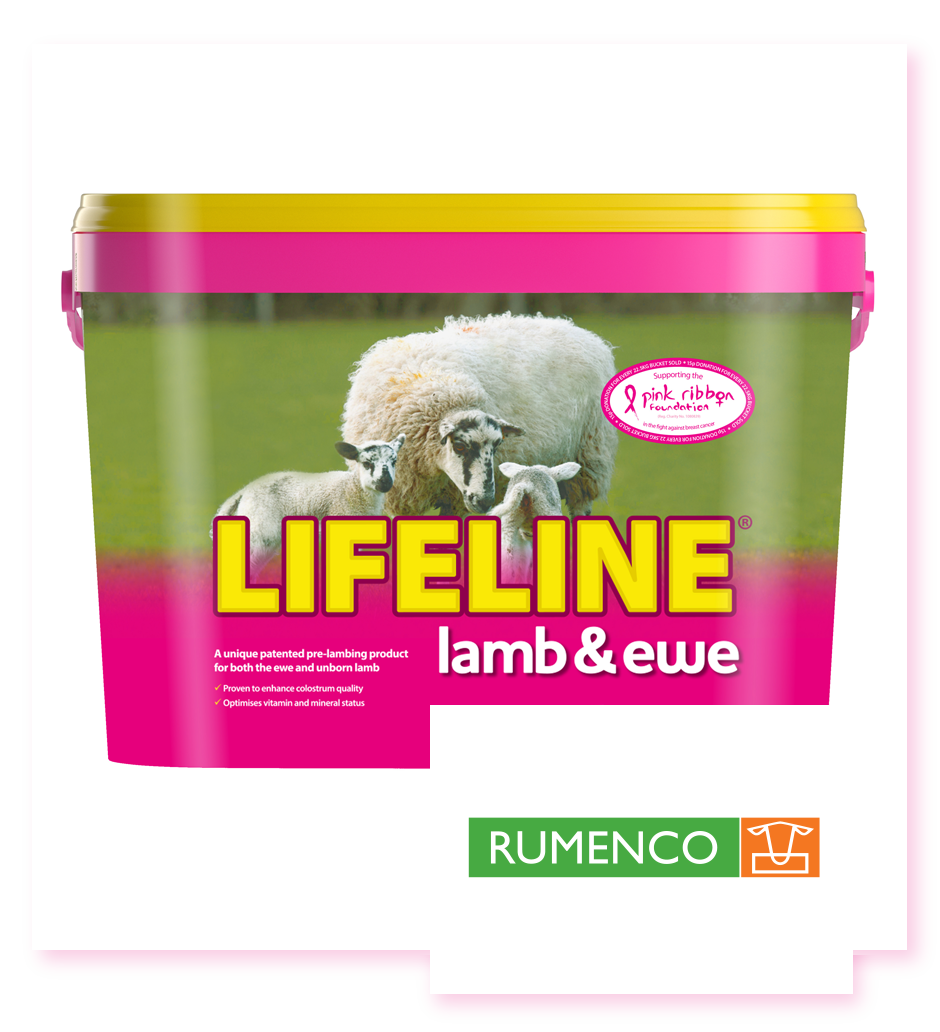 Rumenco Ltd